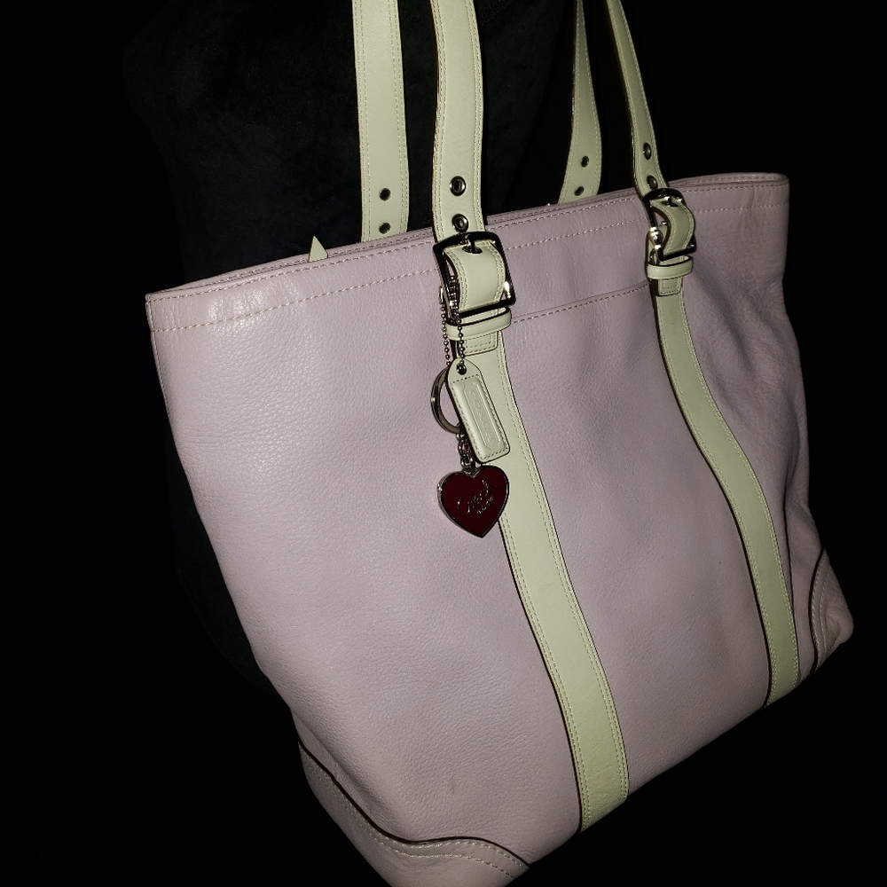 Handbag/Tote
